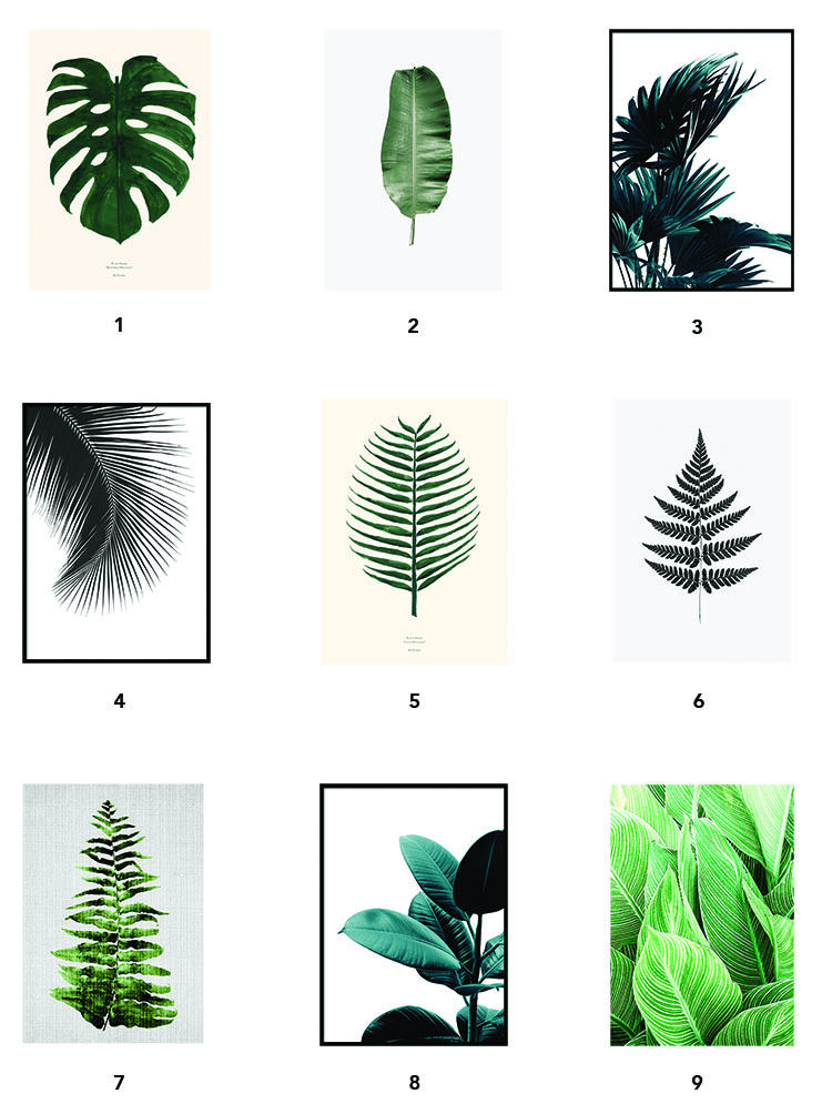 Modern Botanical Art | Flat 15 Design & Lifestyle