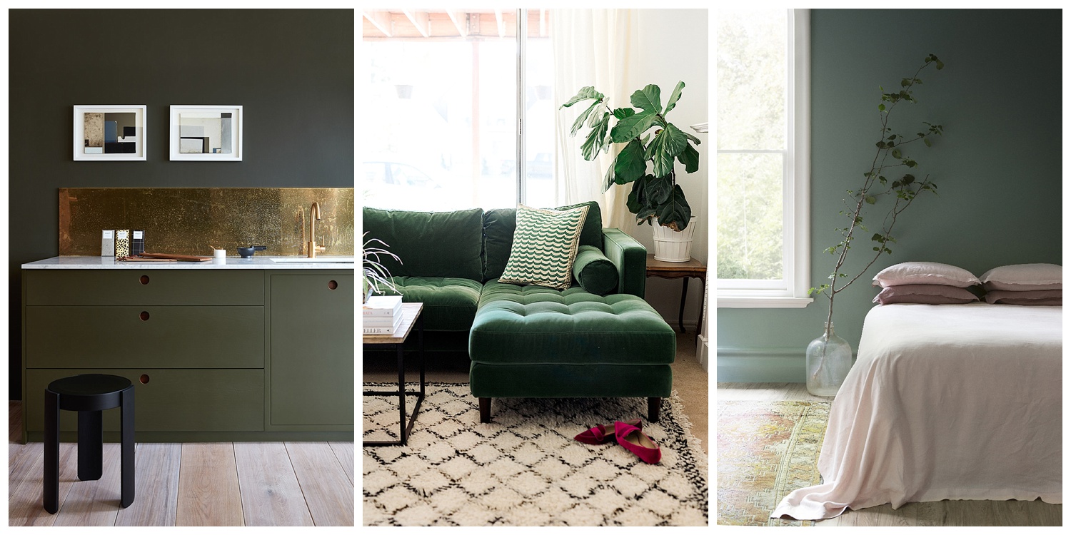 My Personal Take On Greenery | Flat 15 Design & Lifestyle